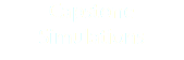Capstone Simulations